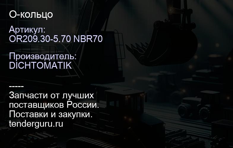 OR209.30-5.70 NBR70 О-кольцо | купить запчасти